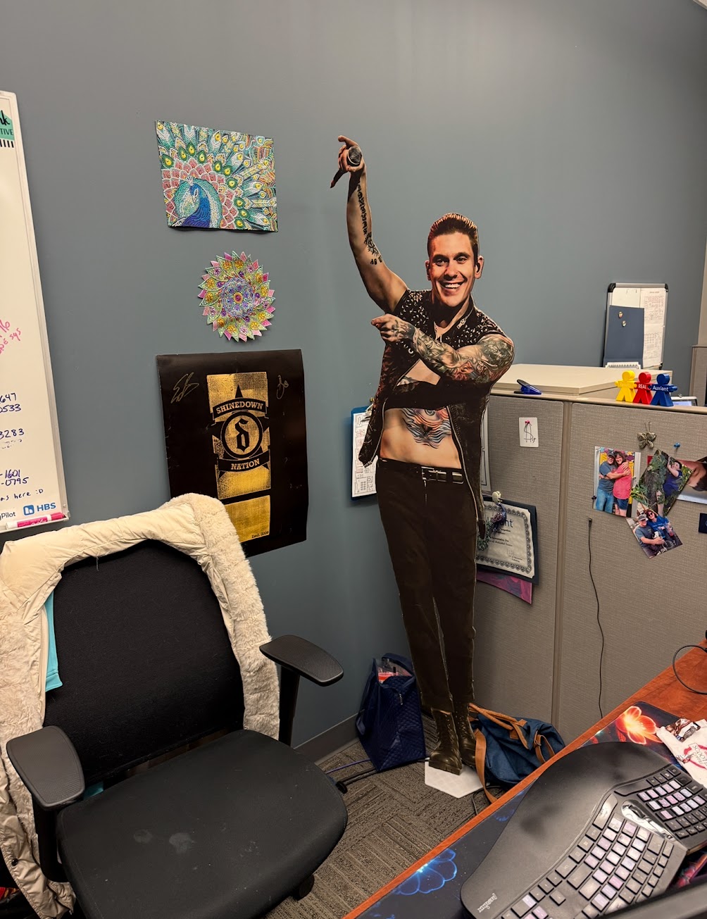 Fan taken concert photo cutt-out